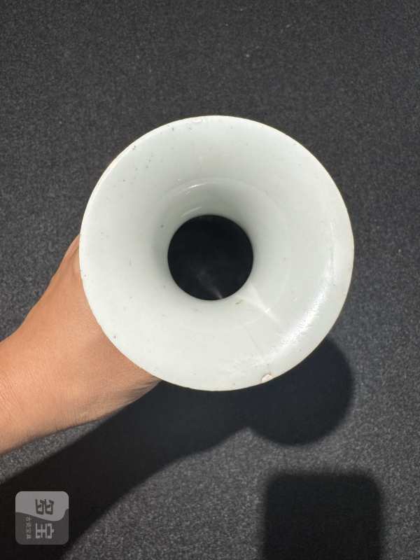 清咸丰 白釉轧道粉彩云龙纹玉壶春瓶 - 图6